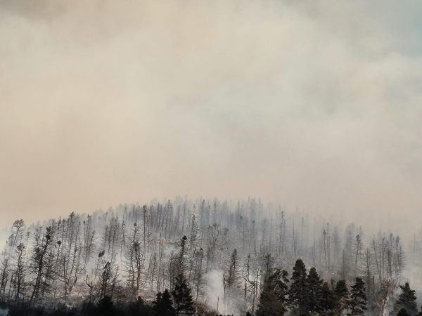 Χάθηκε ο Φενεός: Ακραία συμπεριφορά της φωτιάς - Με εγκαύματα δύο πυροσβέστες (Βίντεο - Εικόνες)