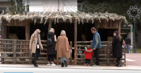 Στα «κάγκελα» οι κτηνίατροι με τον Μπέο για τα ζώα στις φάτνες