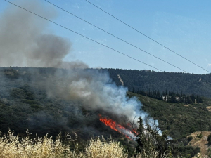 Φωτιά στο Φίλυρο Θεσσαλονίκης: Κακουργηματικές διώξεις στους συλληφθέντες - Στάχτη 22 στρέμματα δασικής έκτασης
