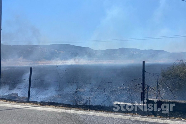 Φωτιά στη Λέσβο: Σηκώθηκαν εναέρια μέσα