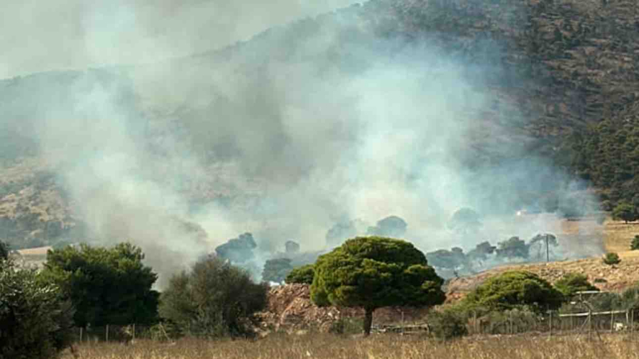 Φωτιά τώρα στον Ασπρόπυργο, επιχειρούν 35 πυροσβέστες