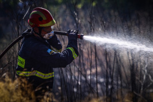 Πυρκαγιά στην Σκεπαστή Ευβοίας - Συναγερμός στην Πυροσβεστική