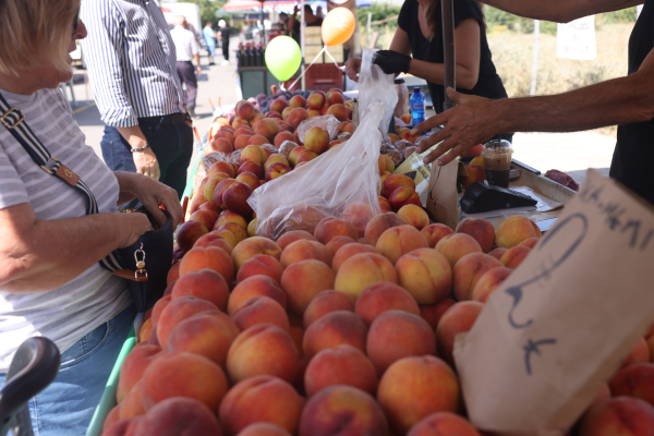 Μονιμοποιούνται οι λαϊκές χωρίς μεσάζοντες, τι αλλάζει στις τιμές στα ράφια