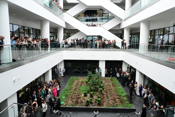 Τη θεσμοθέτηση προκαταρκτικών φορολογικών αποφάσεων εξετάζει η ελληνική κυβέρνηση