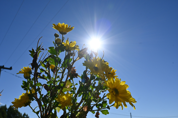 Κλέαρχος Μαρουσάκης: Έρχεται θερμή αέρια μάζα τα επόμενα 24ωρα