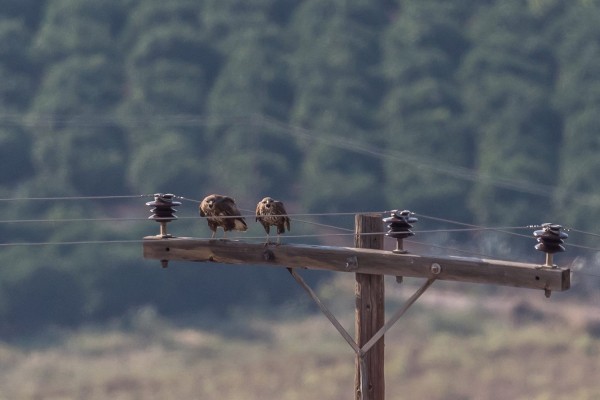 Χωρίες ρεύμα Φολέγανδρος και Σίκινος