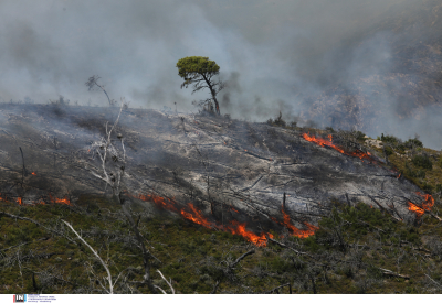 Πολιτική Προστασία για πυρκαγιές: Ποιες περιοχές βρίσκονται σε «κόκκινο συναγερμό»