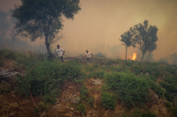 Φωτιά τώρα στα Χάνια, νέο 112
