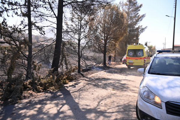 Φωτιές σε Φωκίδα και Πόρτο Γερμενό: Σε αυξημένη επιχειρησιακή ετοιμότητα το ΕΚΑΒ