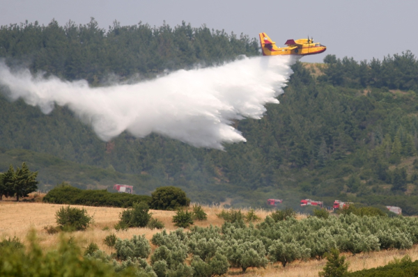 Δράμα: Φωτιά στην Πλατανιά Παρανεστίου