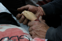 Συνεχίζονται οι σφαγές αμάχων στη Γάζα: 11 νεκροί, μεταξύ των οποίων δύο παιδιά