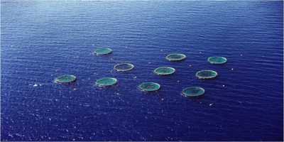 ΥΠΑΠΕΝ: Σε απομόνωση και επιτήρηση τέθηκε η εκμετάλλευση ιχθυοκαλλιέργειας