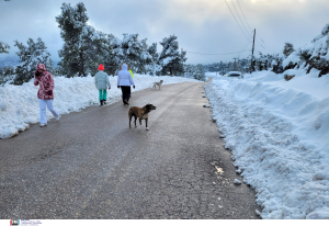 Κινητοποίηση της Πολιτικής Προστασίας για ενδεχόμενο χιονιά