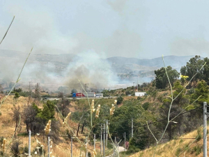 Φωτιά τώρα στις Αφίδνες