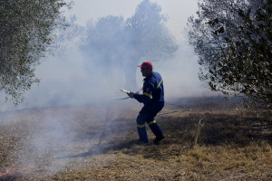 photo: Eurokinissi