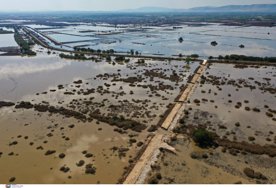 Το 70% της βαμβακοκαλλιέργειας έχει καταστραφεί, η εθνική παραγωγή θα μειωθεί 20%