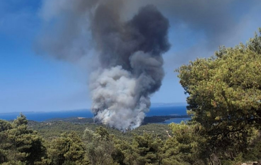 Βουρβουρού Χαλκιδικής: Το «μοιραίο» λάθος με το 112 - Έστελναν τον κόσμο μέσα στη φωτιά