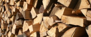 Καυσόξυλα: Δικαιότερη κατανομή της ξυλείας με επείγουσα εγκύκλιο