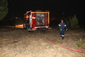 Περιορίστηκε η φωτιά στο άλσος Βεΐκου - Παραμένουν δυνάμεις στο σημείο