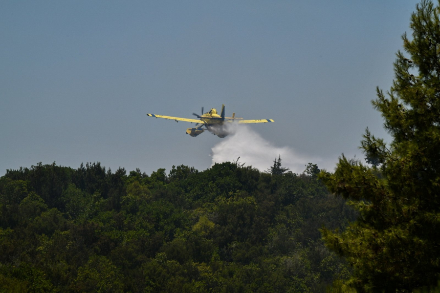 Χωρίς ενεργό μέτωπο η φωτιά στη Νέα Σαμψούντα στην Πρέβεζα
