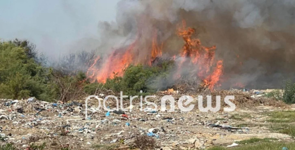 Φωτιά στον Πύργο, κοντά σε σπίτια - Λιποθύμησε πυροσβέστης