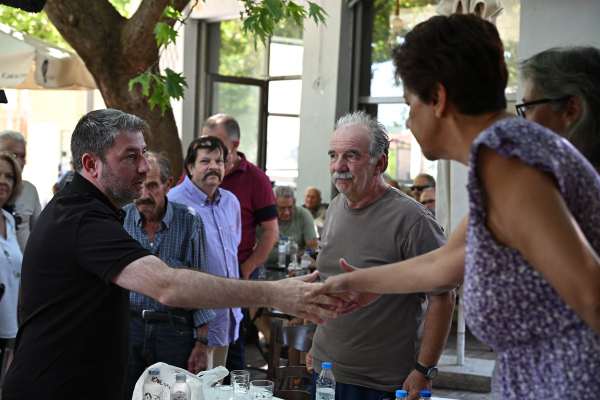 Ανδρουλάκης: Η κλιματική κρίση δεν μπορεί να χρησιμοποιείται ως άλλοθι για τις αδυναμίες του κρατικού μηχανισμού