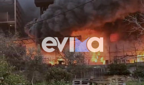 Τέθηκε υπό έλεγχο η φωτιά στη Χαλκίδα - Τεράστιες οι ζημιές στα σπίτια