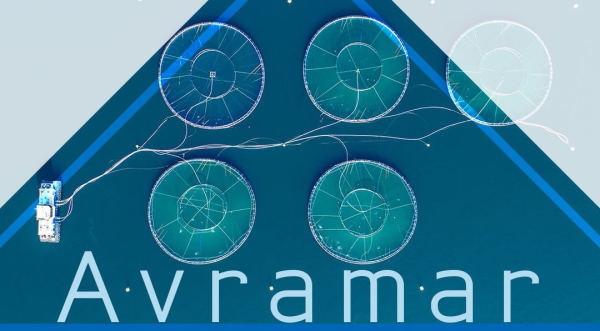 Η πώληση της Avramar, η ComnCom, η Infotrust και ο ΠΑΟΚ και η νέα επένδυση της Πλαστικά Θράκης