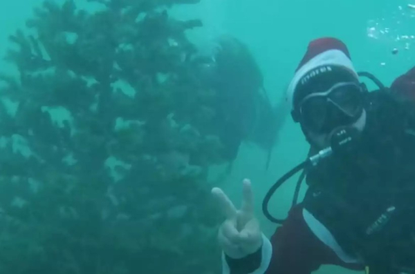 Στόλισαν χριστουγεννιάτικο δέντρο στον βυθό της Αλοννήσου!