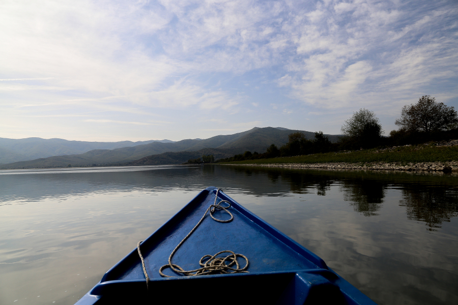 Συναγερμός στις Σέρρες από κρούσμα γρίπης των πτηνών