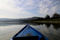 Συναγερμός στις Σέρρες από κρούσμα γρίπης των πτηνών