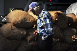Αγρότες: «Δώρο» 67ων γενεθλίων η έξοδος στην σύνταξη, νέα ρύθμιση για την ασφάλιση