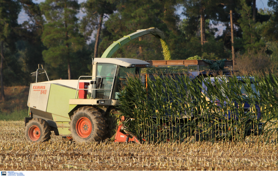 Πληρωμές 21,2 εκατ. ευρώ σε Νέους Αγρότες της Κεντρικής Μακεδονίας, πότε μπαίνουν τα χρήματα