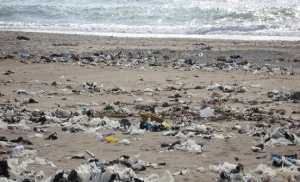 Δράσεις για την προστασία του θαλάσσιου περιβάλλοντος από απορρίμματα 