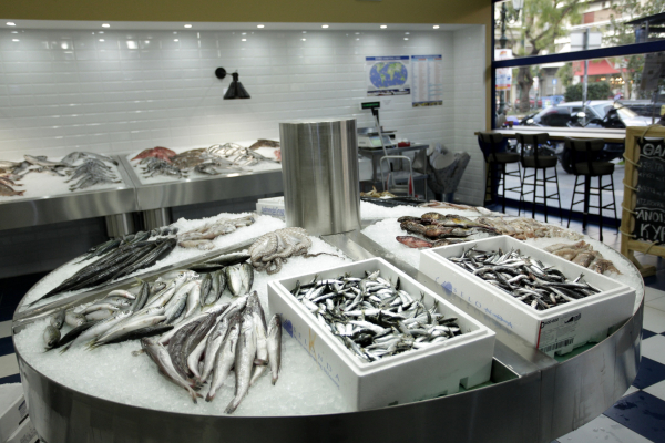 Anchovy Reigns Supreme in Greek Fishing as North Aegean Dominates Catch