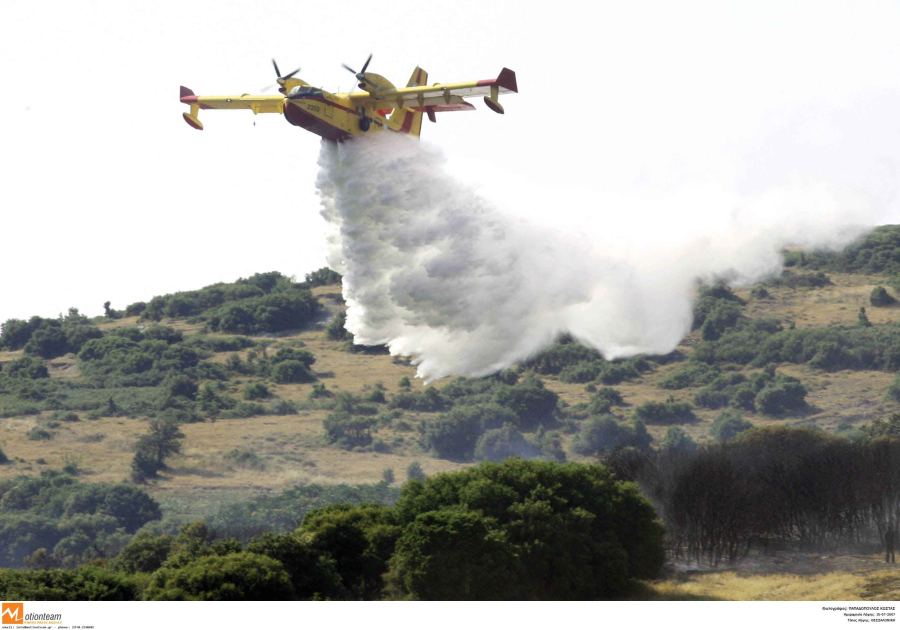 Θεσσαλονίκη: Σύλληψη για φωτιά στους πρόποδες του Χορτιάτη - Προκλήθηκε από μελισσοκομικές εργασίες