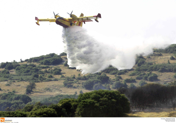 Θεσσαλονίκη: Σύλληψη για φωτιά στους πρόποδες του Χορτιάτη - Προκλήθηκε από μελισσοκομικές εργασίες