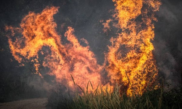 Σε εξέλιξη νέα φωτιά στην Πλάκα της Νάξου