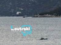 loutrakiblog