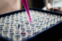 Greek Government Accused of Undermining Research While Praising It