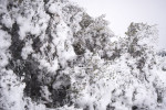 photo: Eurokinissi