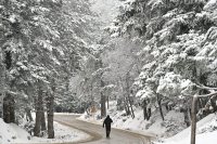 Ξεκίνησε η χιονόπτωση στην Πάρνηθα