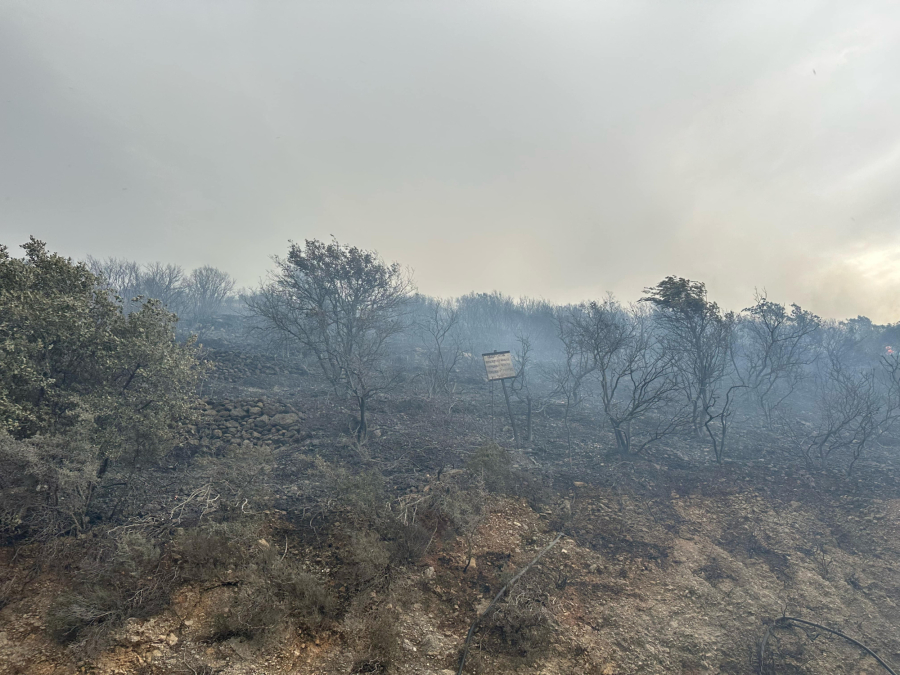 Φωτογραφία: ilefkada.gr