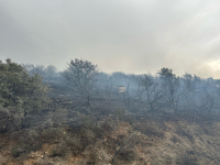 Υπό πλήρη έλεγχο η φωτιά στην Λευκάδα
