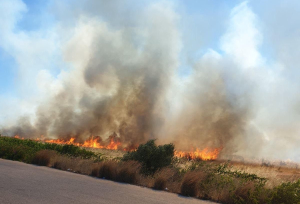 Φωτιά τώρα στο Μαρκόπουλο – Σπεύδουν εναέριες και επίγειες δυνάμεις
