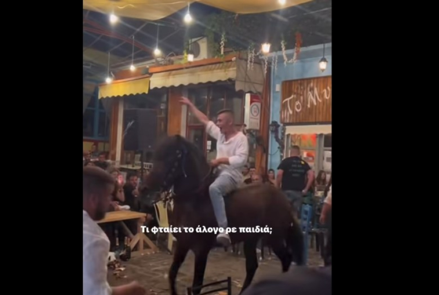 Στον εισαγγελέα με 30 βίντεο η καταγγελία για την κακοποίηση αλόγων στο πανηγύρι Αγιάσου