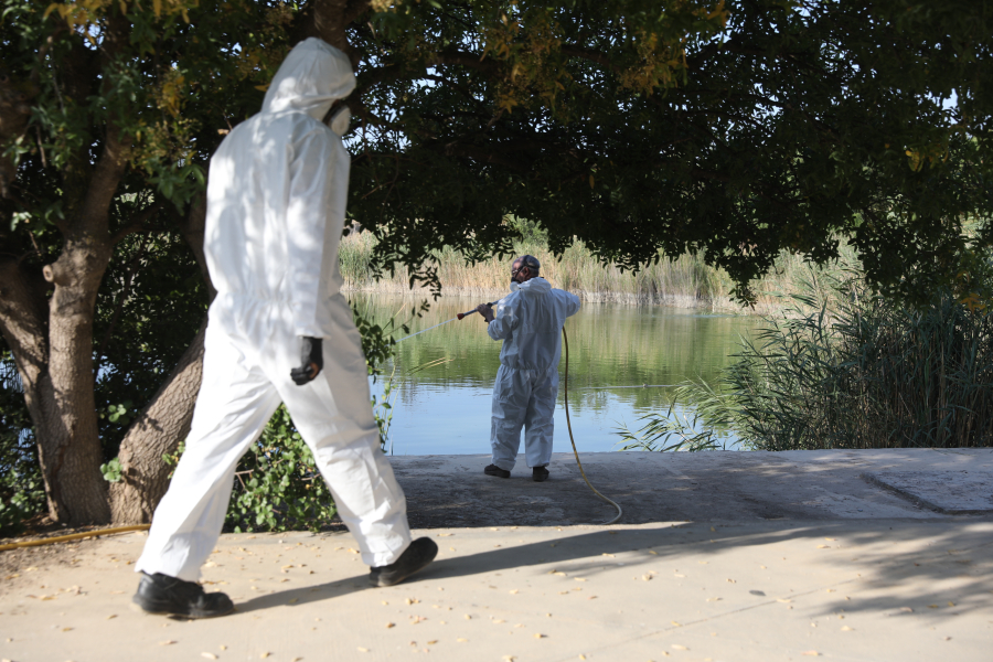 Χαρδαλιάς για ιό Δυτικού Νείλου: Απόψε έκτακτοι ψεκασμοί μεγάλης κλίμακας στην Ανατολική Αττική
