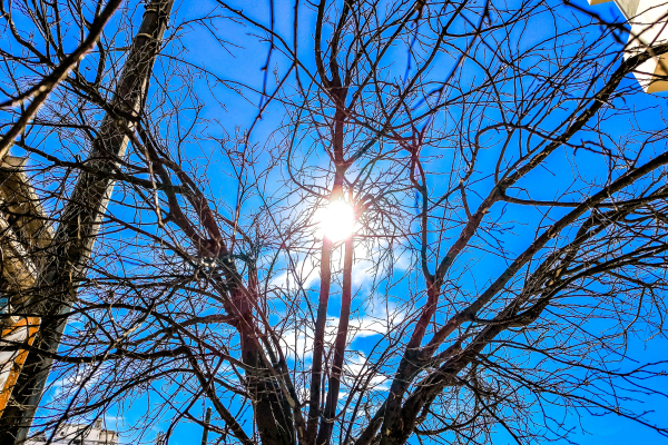 Μeteo: Βελτιωμένος ο καιρός τη Δευτέρα 18 Νοεμβρίου - Αναλυτική πρόγνωση