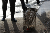 Αποκαρδιωτική έκθεση WWF Ελλάς: 298.000 πλαστικά σκουπίδια ανά 100 μέτρα παραλίας