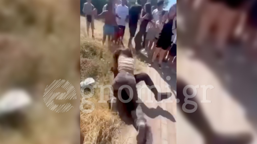Εύβοια: Μαθήτριες πιάστηκαν στα χέρια έξω από το Γυμνάσιο Βασιλικού (βίντεο)